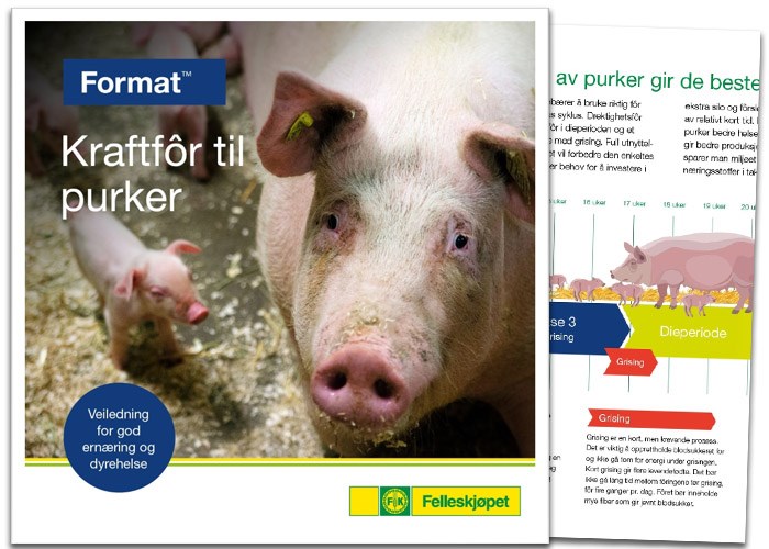 Format kraftfôr til purke