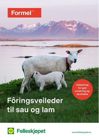 Fôringsveileder til sau og lam