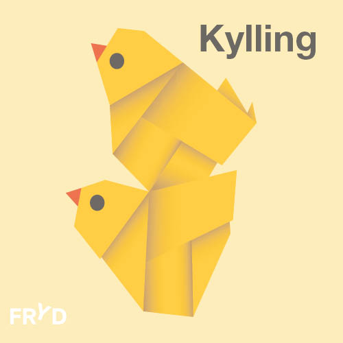 500x500 Fryd Kylling.jpg