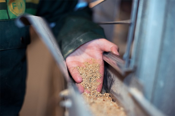 Hånd som viser frem kraftfõr