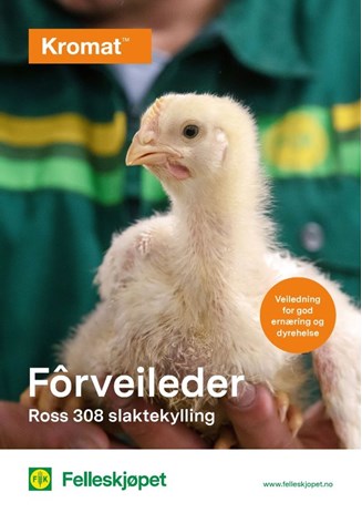Kromat fôrveileder Ross 309 og slaktekylling