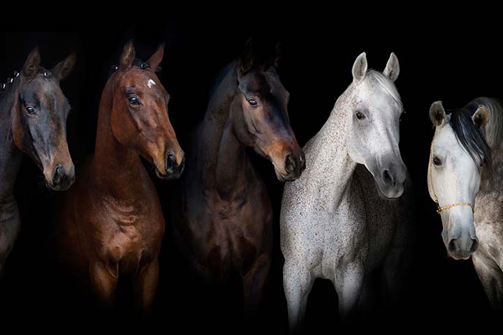 720x480 seniorhester.jpg