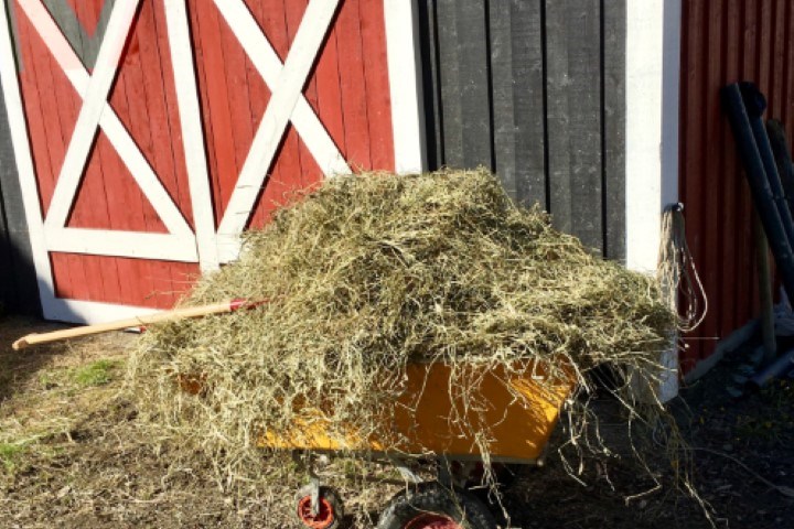 Grovfor i trillebåre