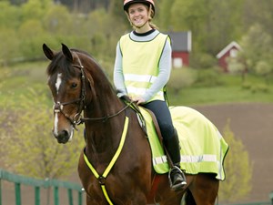 Kjenner du refleksanbefalingene for hest og rytter?