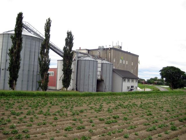 Felleskjøpet kornmottak Frosta