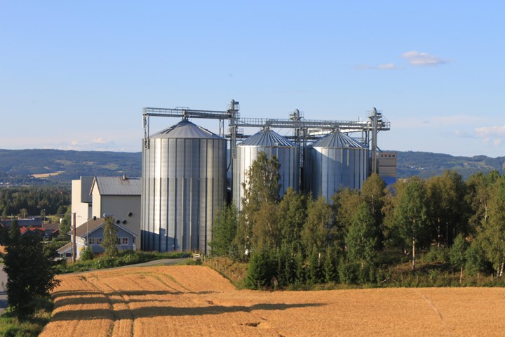 Rindsem Mølle. Foto