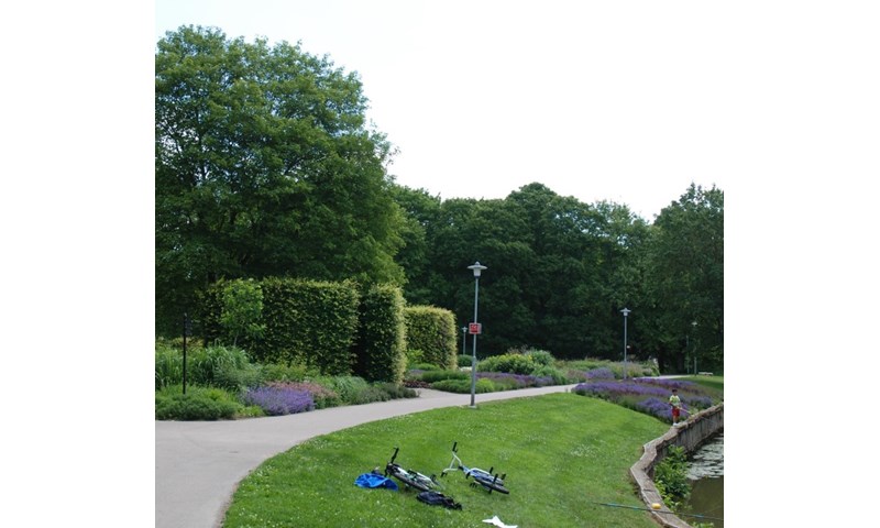 Frøblandinger til park, hage og natur