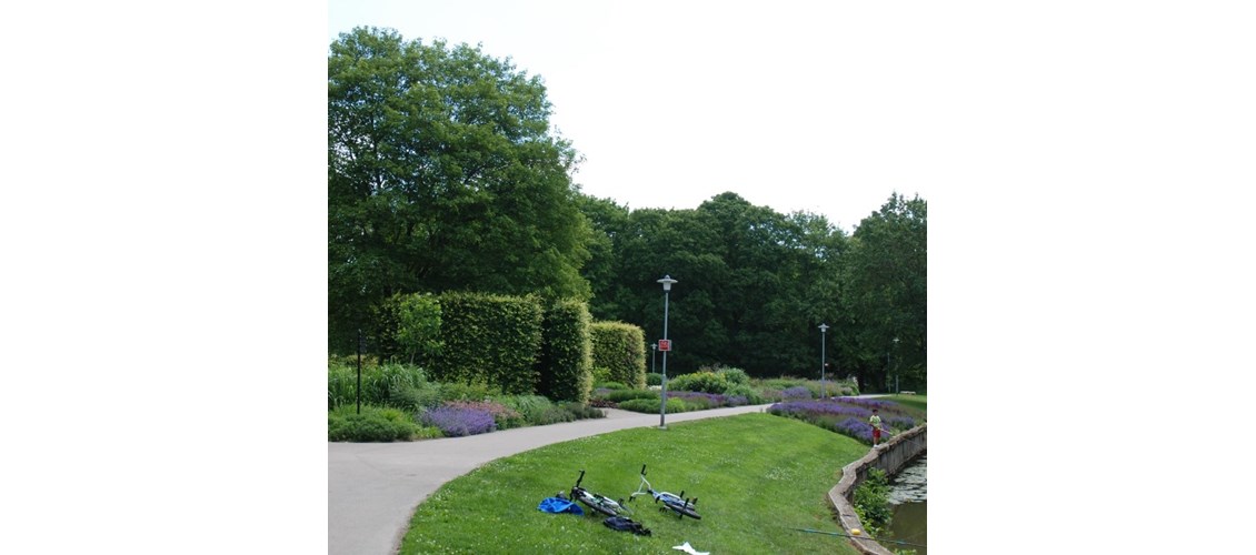 Frøblandinger til park, hage og natur