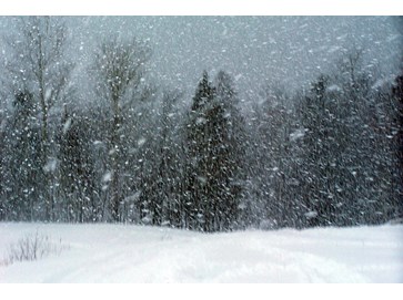 Snøstorm
