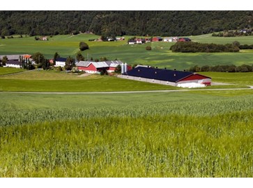 Bondegård på avstand