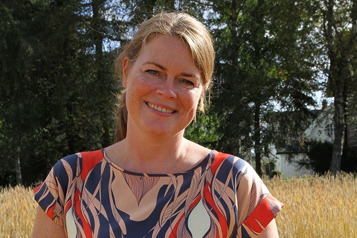 Kvinne i kornåker en sommerdag