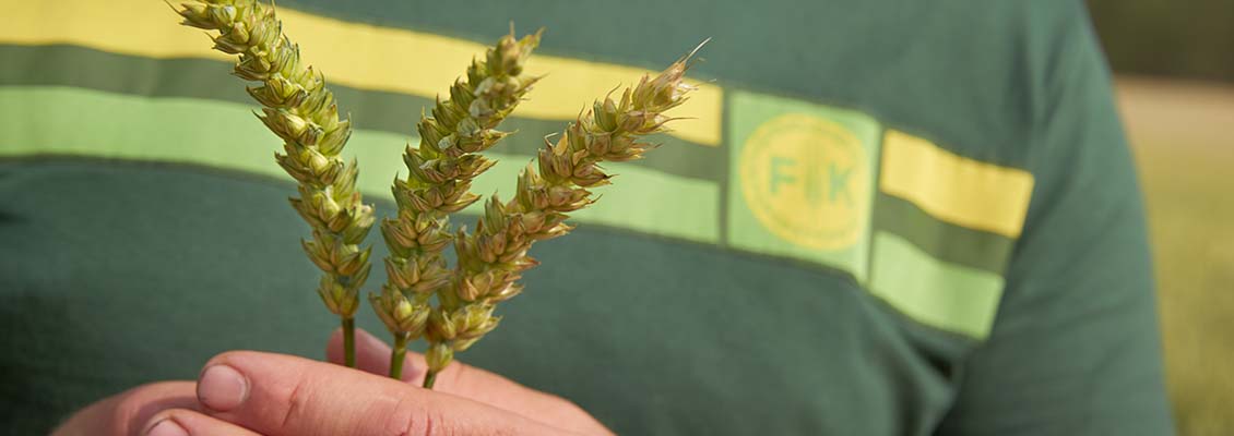 1130x400-fk-hender-med-strå.jpg