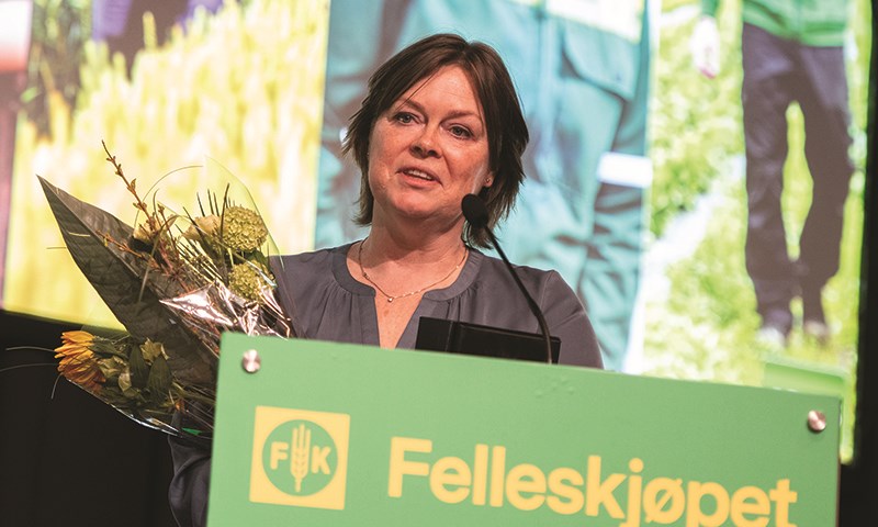 Skuterud gjenvalgt som styreleder og Østerås ble ny nestleder