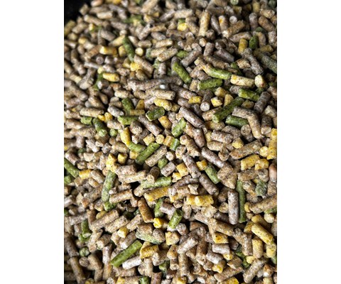 Fjørfefôr sølvkorn 25 kg