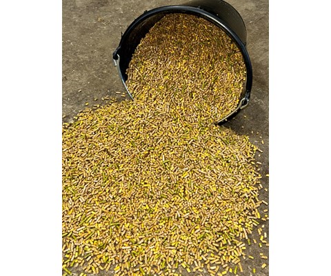 Fjørfefôr sølvkorn 25 kg