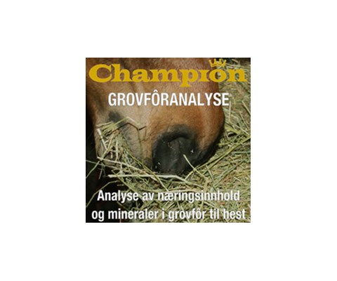 Grovforanalyse