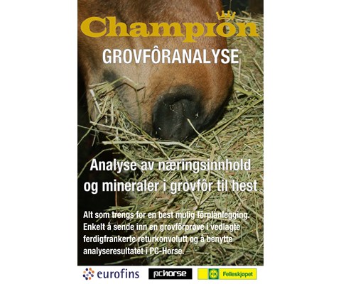 Grovforanalyse