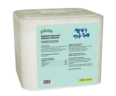 Saltstein Naturell 10 kg