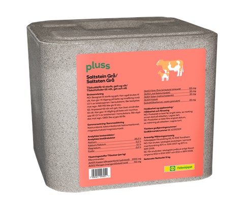 Saltstein grå 10 kg