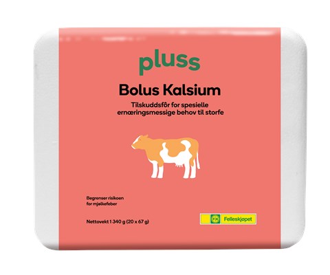 Bolus Kalsium 20x67 g