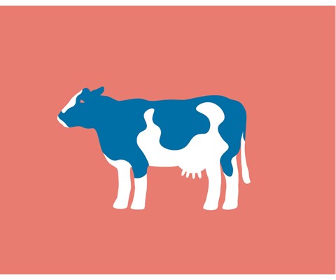 Makro og Vitamin 20 kg