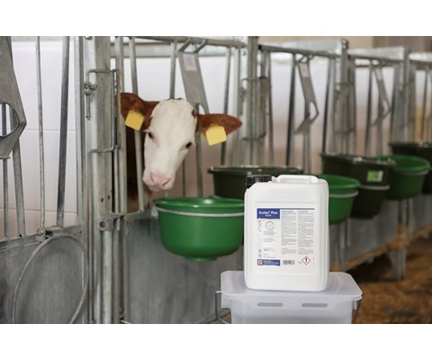 Surlac Plus Liquid 5 L