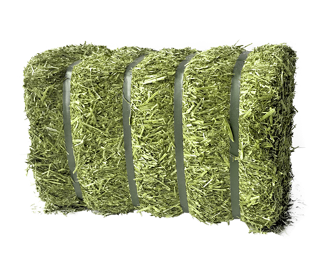 Lucerne GT 20 kg