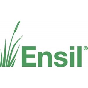 Ensil