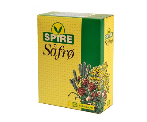 Frøblanding Spire Grønnfôrnepe Marco 1 kg