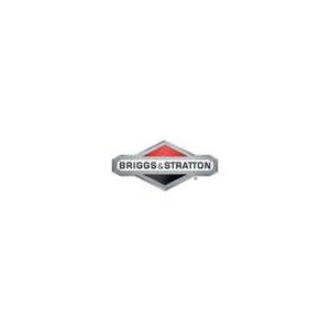 Briggs & Stratton