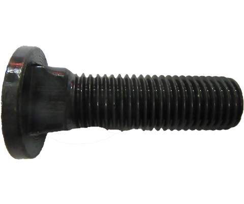 Plogbolt M16x55 mm