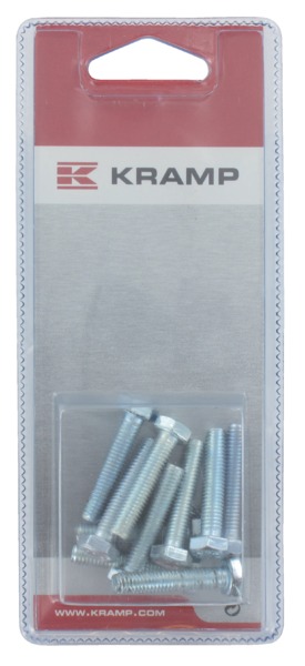 Skrue M6x30 10 stk