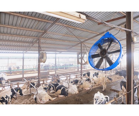 Sirkulasjonsvifte DDF1200S