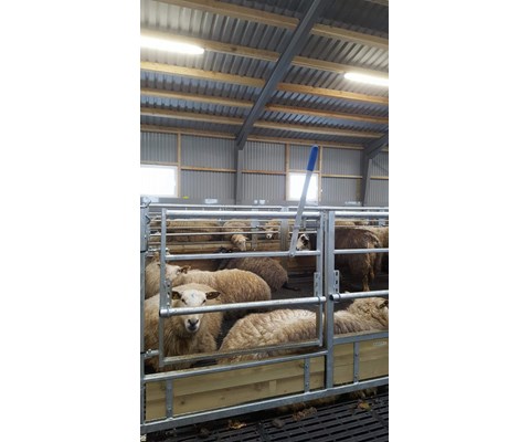 Langsgående justerbar front 1950 mm