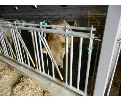 Fanggitter for kjøttfe