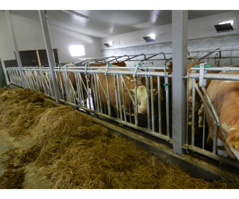 Fanggitter for kjøttfe