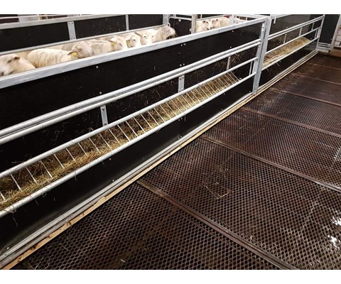 Fôrkasse 2 m for sau med 2 stk luker