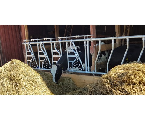 Sikkerhetsfangfront HLS10