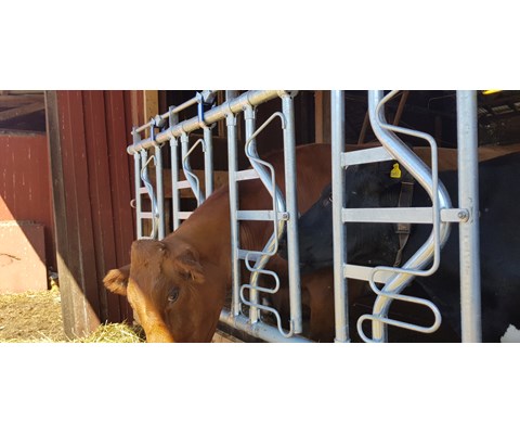 Sikkerhetsfangfront HLS10