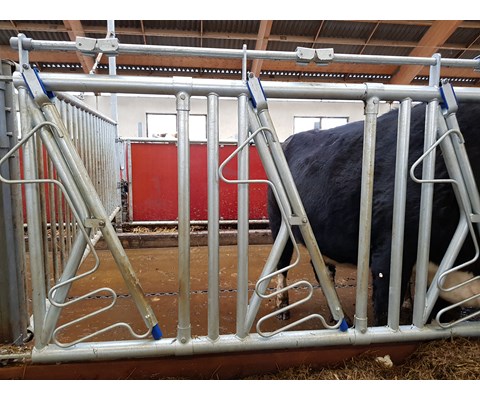 Sikkerhetsfangfront HLS50