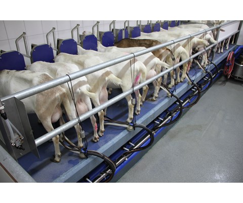 Melkeanlegg lavtliggende