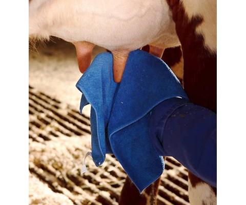 Jurkluter microfiber 12 stk