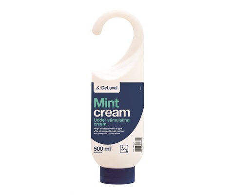 Salve Mint Cream 500 ml