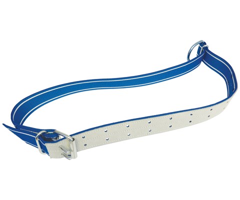 Polybelt halsband okse dobbel spenne