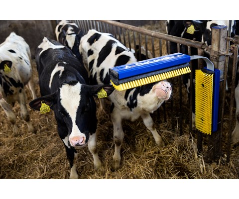 Kubørste SB stasjonær komplett