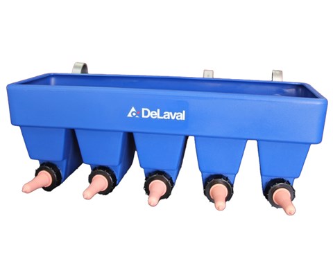 Melkebar CN5 kalv 5 smokker