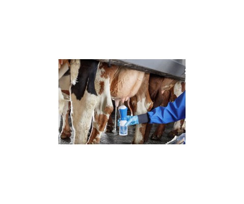 Skumkopp til Biofoam Plus