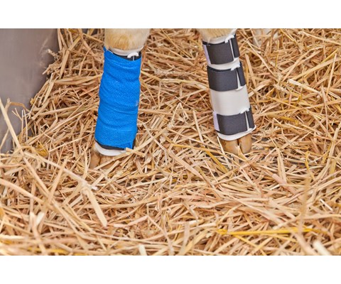 Leggskinne for kalv CS22