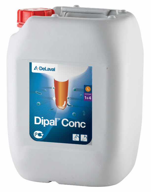 Spenedypp Dipal Conc 5 L