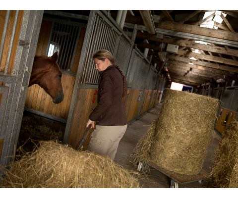 Rundballeplast Triowrap Horsewrap 25 my